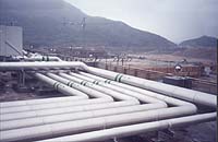 bbb1.jpg (12838 �r?)